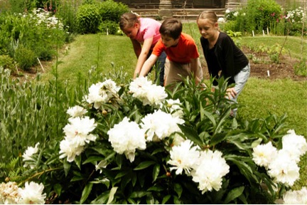 photograph of children looking at flowers
