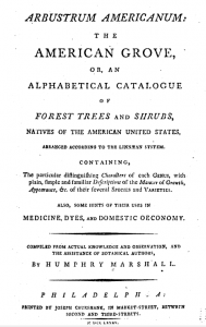 page from Arbustrum American, 1785, by Humphry Marshall