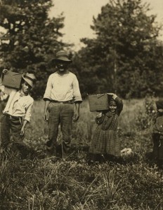 a photograph of a young boy and a young girl on either side of an adult man. The children are carrying boxes of cranberries on their shoulders.