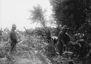 photograph of soldiers clearing brush