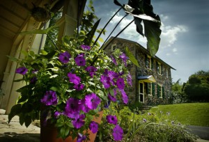 The 650-acre Tyler Arboretum, located just outside Philadelphia in Media, Delaware County, is one of the oldest and largest arboreta in the Northeast.