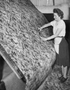 photograph of a woman smoothing a rug. the rug is proped up at a 45 degree angle and the worker is running her hands of the rug, from a standing positon next to it.