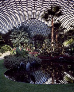 A color photo taken inside one of the Longwood Gardens greenhouses showing a small pond and tropical plants