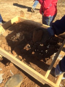 Rutgers University-Camden students screening for artifacts at an archaeological site in Salem County, New Jersey. (Photograph by Kimberlee Sue Moran)