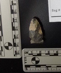 A Woodland Era Native American Projectile Point found in Salem County, New Jersey. (Photograph by Kimberlee Sue Moran). 
