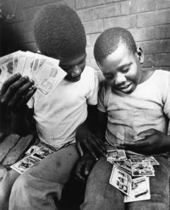 Photograph of boys with baseball cards