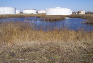 A color photograph of oil tanks standing in the marshlands on Petty Island