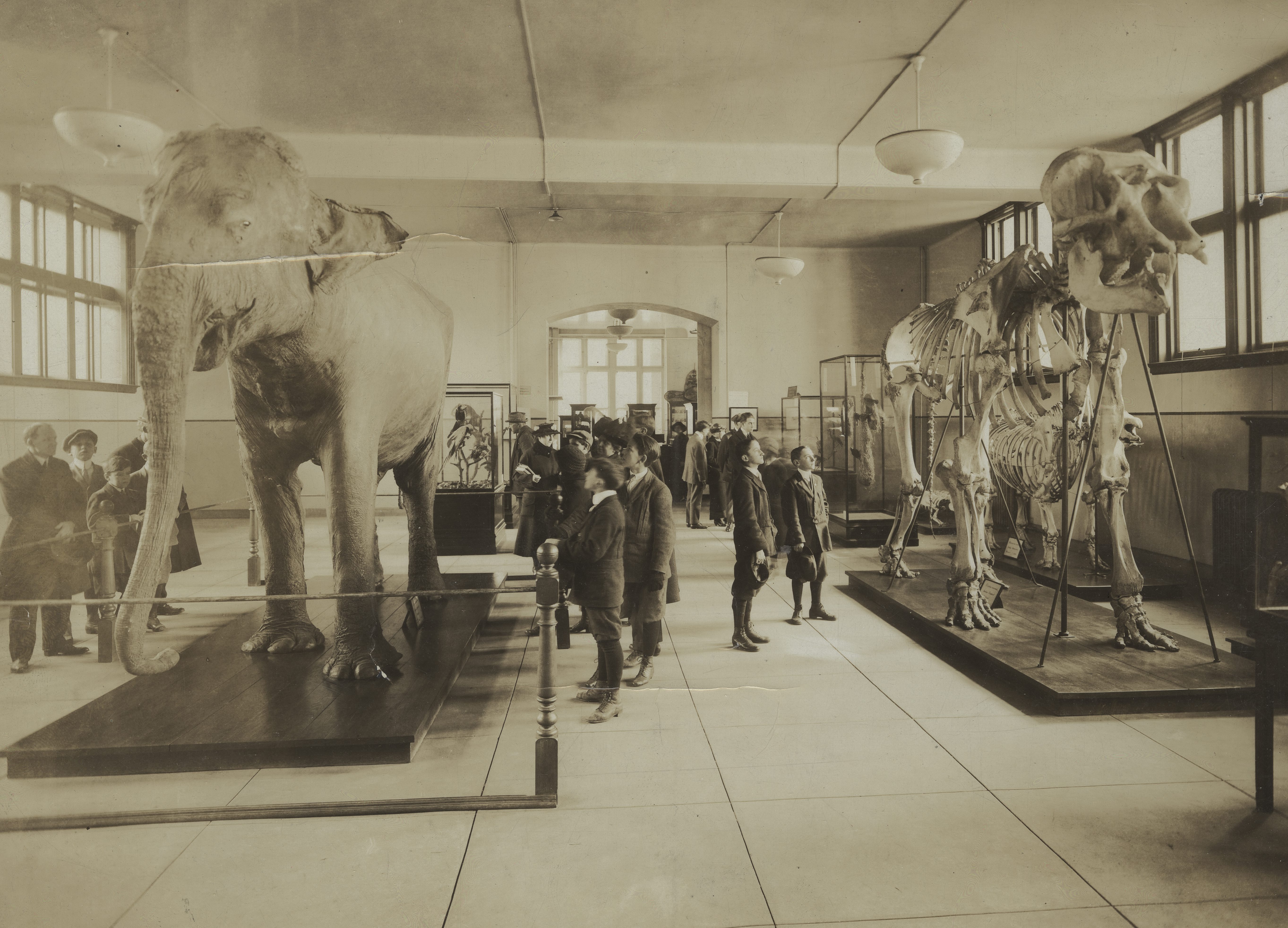 A Glorious Enterprise: The Academy of Natural Sciences of Philadelphia and  the Making of American Science