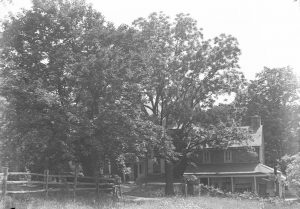 A black and white photograph of Mill Grove, home of John Audubon, showing house and trees