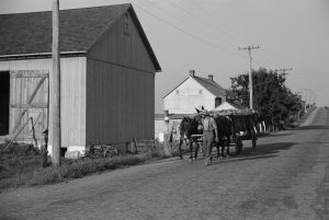 A black and white photograph of a farmer in rural Pennsylvania leading a horse drawn wagon full of Tobacco.