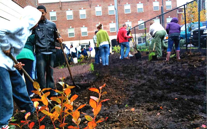 color photo of orchard planting at Evelyn Sanders Townhouses in Fairhill.