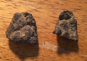 A photograph of two small pieces of bog iron.