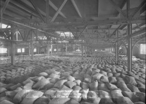 Around 8,700 tons of raw sugar at Philadelphia's Pier 40 in 1916.