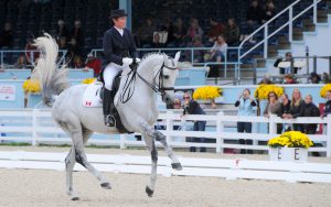 color photo of rider competing in Devon horse show, September 2012.