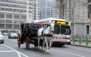 color photo showing one-horse tourist carriage alongside bus eastbound on the perimeter road along the south side of city hall, philadelphia.