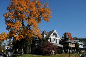 color photo showing three 1900-era houses and a colorful tree towering at left.