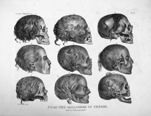 a black and white illustration of nine mummy skulls with hair