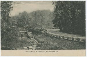 A view of an S-Curve on the Lincoln Drive. To the left of the curve is a creek, and a forest surrounds the scenic road.