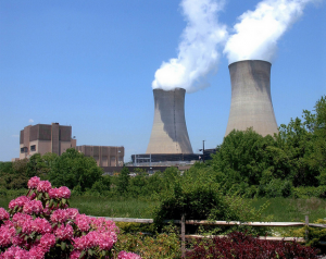 a color photograph of the Limerick Nuclear Power Plant. A rectangular generator building and two prominent cooling towers are visible in the background with steam rising from them. In the foreground there is green foliage and a shrub with pink flowers.