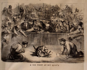 a black and white illustration of a crowd of men surrounding two dogs fighting