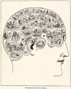 A drawing of a brain that is divided into mental faculties, each represented by cartoon illustrations (e.g., a history book in the Memory section)