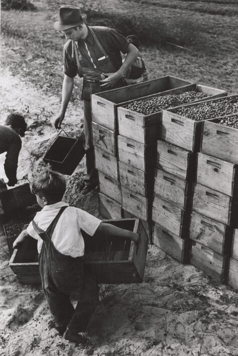 progressive era child labor