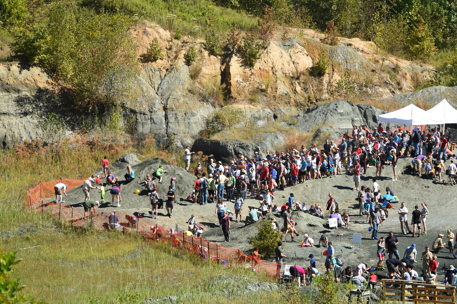 Edelman Fossil Park photograph